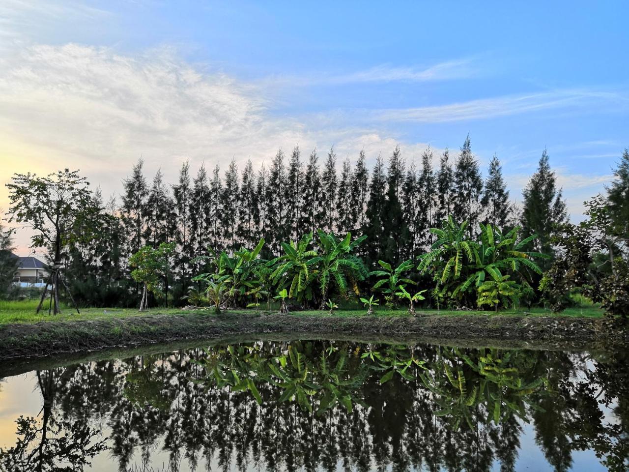 On Green Resort Ban Huai Sua Exteriér fotografie